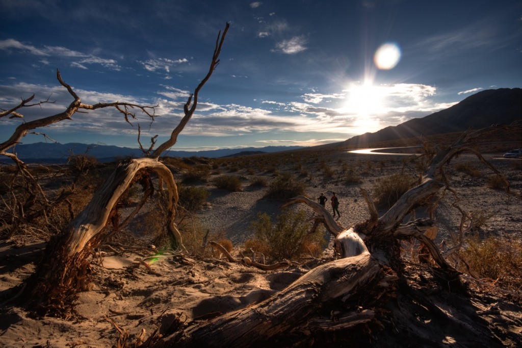 From the Death Valley sand dune 1024x682 Death Valley