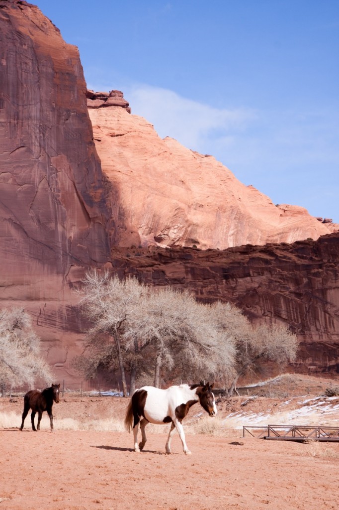 More horses in canyon de chelly More horses in canyon de chelly 682x1024 Canyon de Chelly