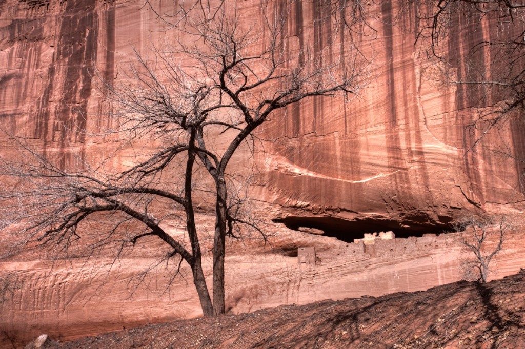 Magical historical canyon in Navajo land The White House Ruins and trees 1024x681 Canyon de Chelly